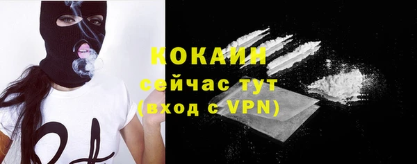 ECSTASY Инсар