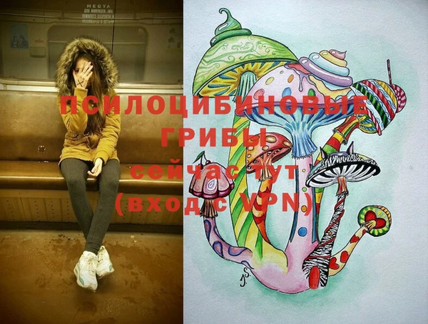 гидропоника Заводоуковск