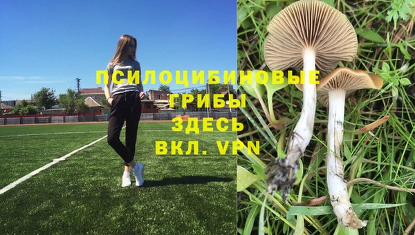 герыч Иннополис