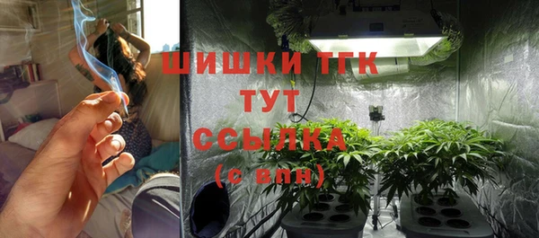 ECSTASY Инсар