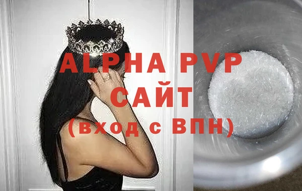 ECSTASY Инсар