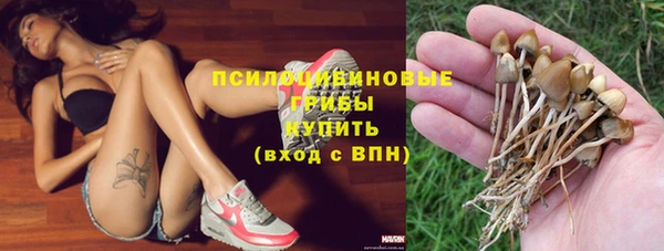 стаф Заволжск