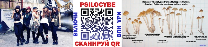 Псилоцибиновые грибы Magic Shrooms  Купить  Сегежа 