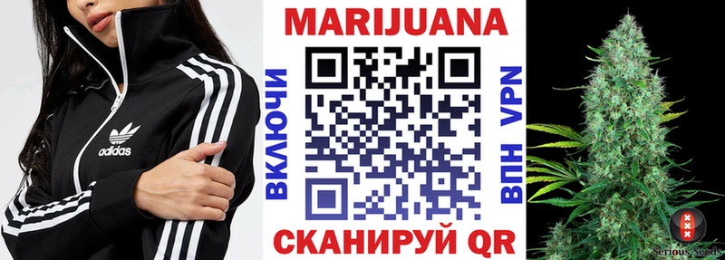 Купить  Сегежа  Канабис планчик 
